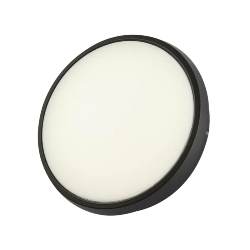 Black Ring Moonlight Outdoor Modern LED Wall Light – D175 mm / D245 mm