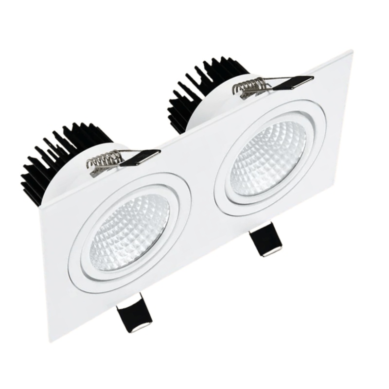 LED White 2 Way Tilt Recessed Rectangle Downlight – 2x10W