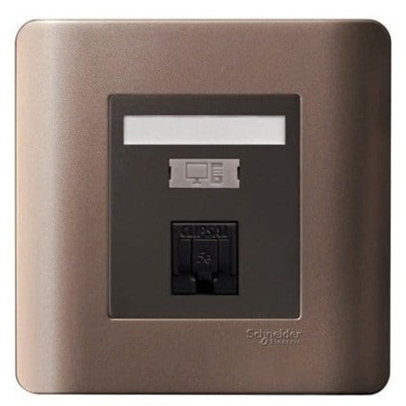 Schneider Zencelo 1-Gang Data Socket