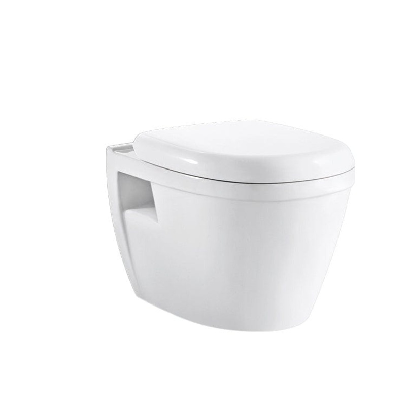 Meidiya P-Trap Wall Hung Water Closet – MGZ-07
