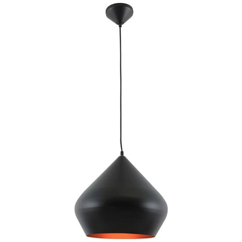Black 10 Single Head Metal Pendant Ceiling Light Fixture – FHS-05