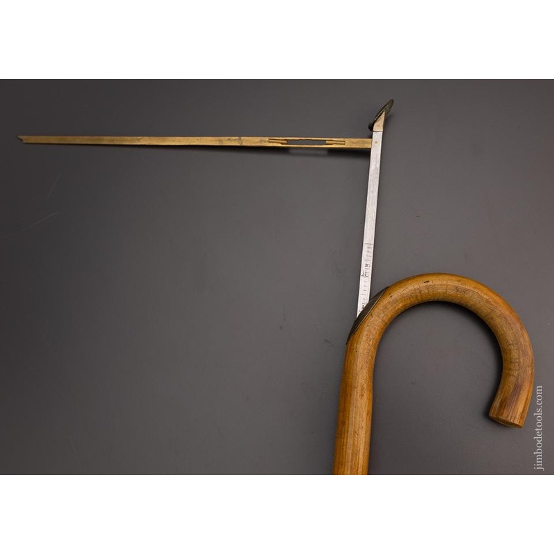 Rare Horse Measuring Cane – 98082