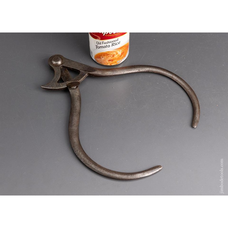 Sculptured 10 Inch Dividers – 95851